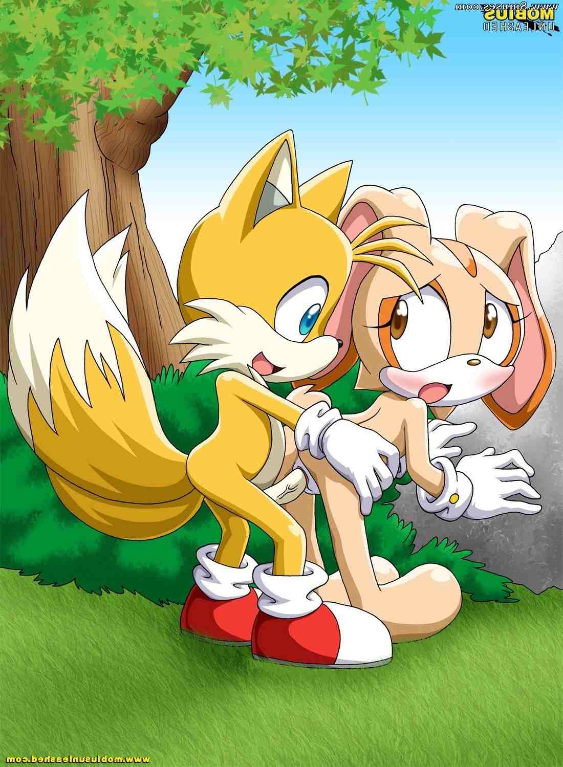 Amy Rose Creampied By Tails The Fox