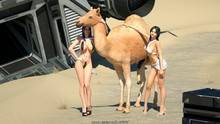 Camel Show