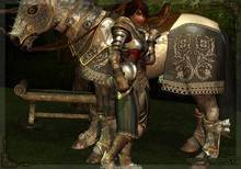 Bretonnia Knight and Horse