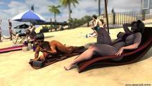 The Beach